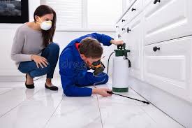 Best Commercial Pest Control  in Willows, CA